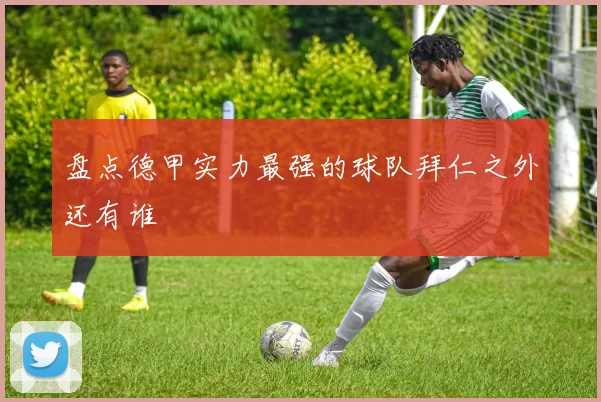 盘点德甲实力最强的球队拜仁之外还有谁