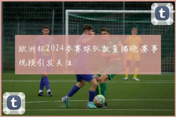 欧洲杯2024参赛球队数量揭晓 赛事规模引发关注