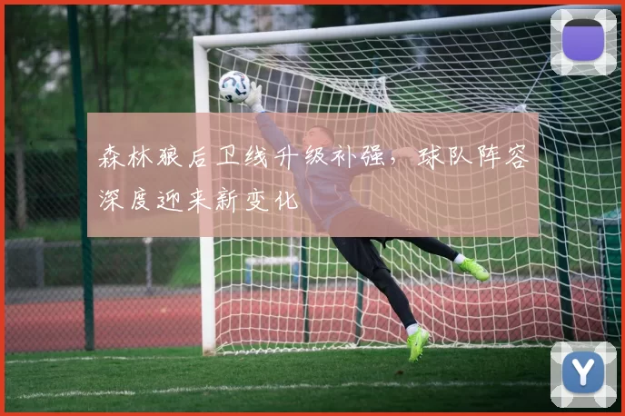 森林狼后卫线升级补强，球队阵容深度迎来新变化