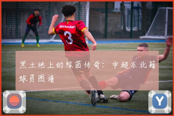 黑土地上的绿茵传奇：中超东北籍球员图谱