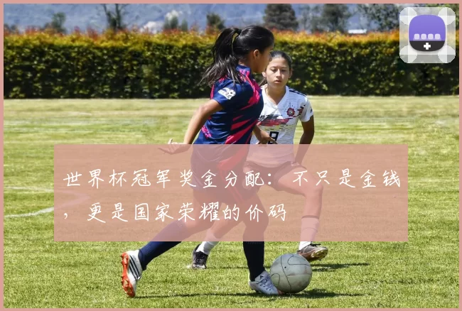 世界杯冠军奖金分配:不只是金钱,更是国家荣耀的价码