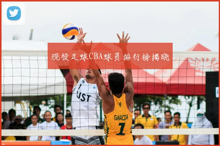 现役足球CBA球员排行榜揭晓