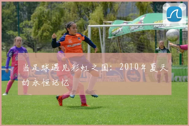 当足球遇见彩虹之国：2010年夏天的永恒记忆