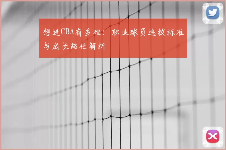 想进CBA有多难：职业球员选拔标准与成长路径解析