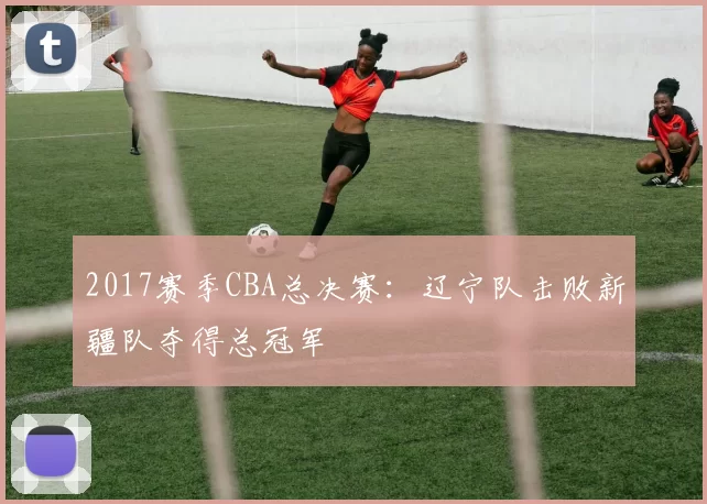 2017赛季CBA总决赛：辽宁队击败新疆队夺得总冠军