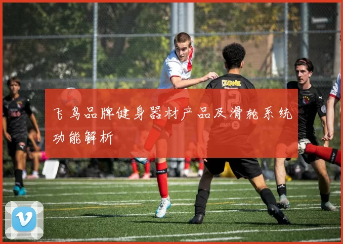 飞鸟品牌健身器材产品及滑轮系统功能解析