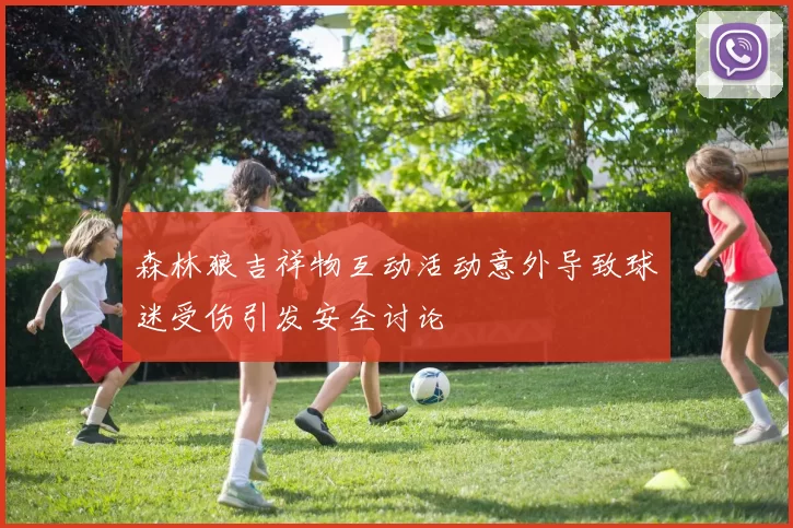 森林狼吉祥物互动活动意外导致球迷受伤引发安全讨论