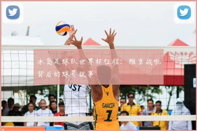冰岛足球队世界杯征程:维京战吼背后的球员故事