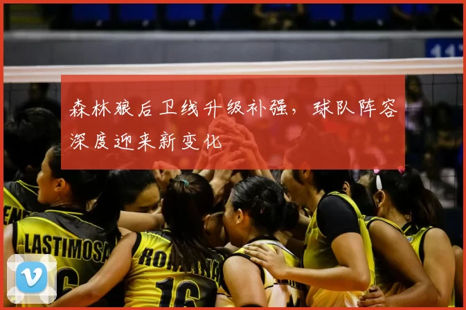 森林狼后卫线升级补强，球队阵容深度迎来新变化