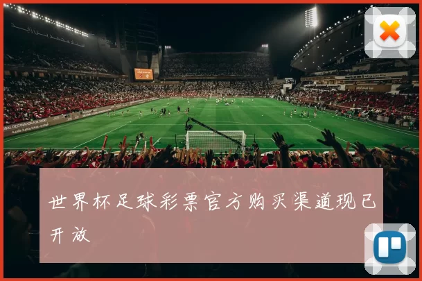 世界杯足球彩票官方购买渠道现已开放