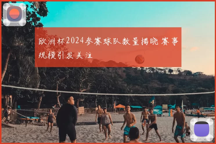 欧洲杯2024参赛球队数量揭晓 赛事规模引发关注