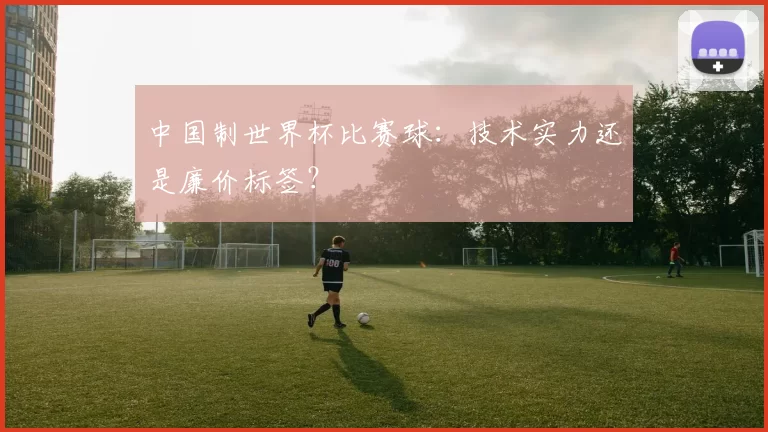 中国制世界杯比赛球:技术实力还是廉价标签?
