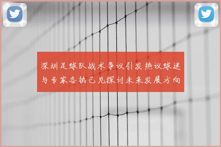 深圳足球队战术争议引发热议球迷与专家各执己见探讨未来发展方向
