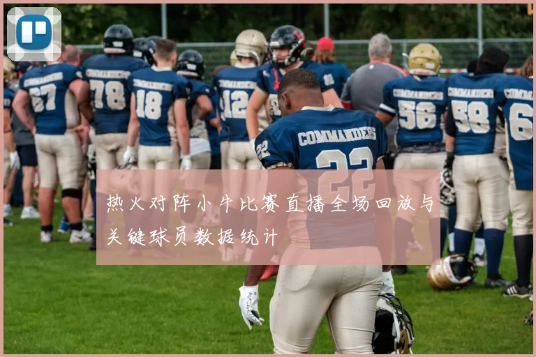 热火对阵小牛比赛直播全场回放与关键球员数据统计