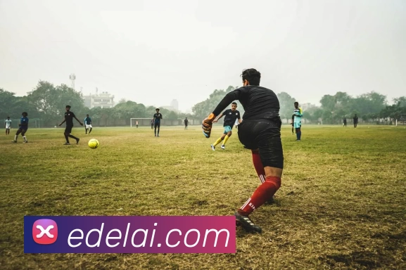 华体会app平台生态图